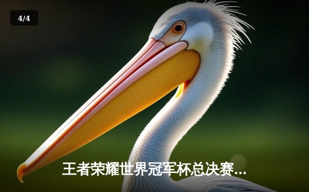 王者荣耀世界冠军杯总决赛落幕，中国战队AG超玩会鏖战七局夺金凤凰杯 - 4